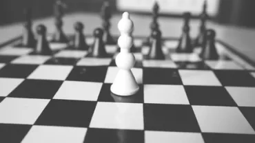 一個棋盤上的白色棋子，黑白對比強烈。