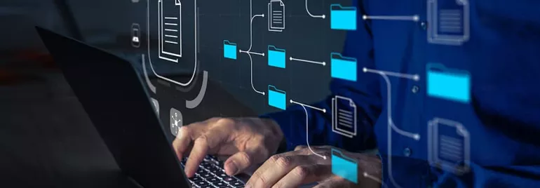 Person working on data management and file organization