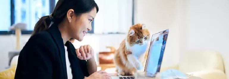 Person sitting at a desk looking at a laptop, cat nearby