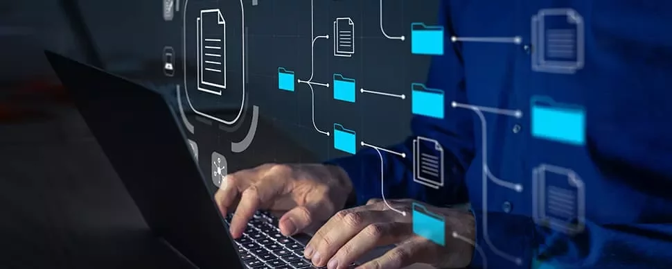 Person working on data management and file organization